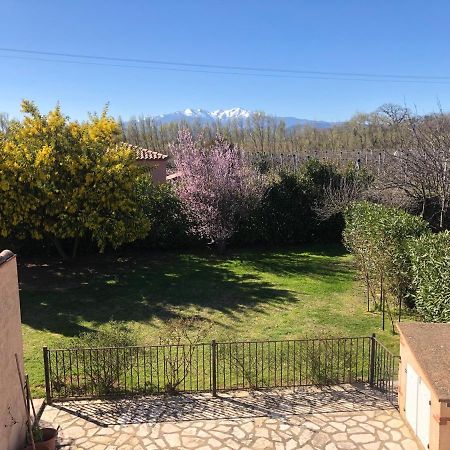 Au Mimosa -Gite Le Canigou Passa Exterior photo